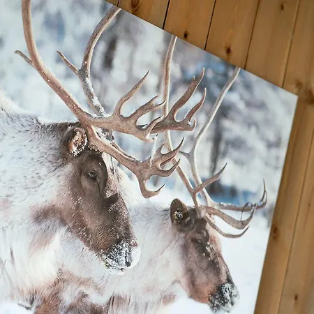 Spidsbergseter Rondane 3*