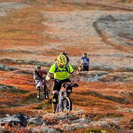 Spidsbergseter Rondane 3* Venasen
