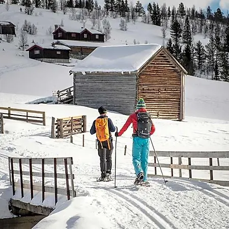 Spidsbergseter Rondane 3*