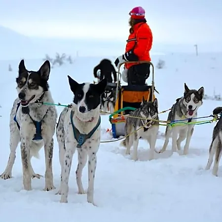 Hotel Spidsbergseter Rondane Venasen