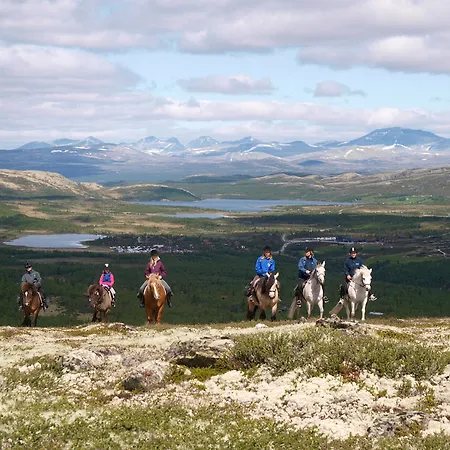 Spidsbergseter Rondane 3* Venasen