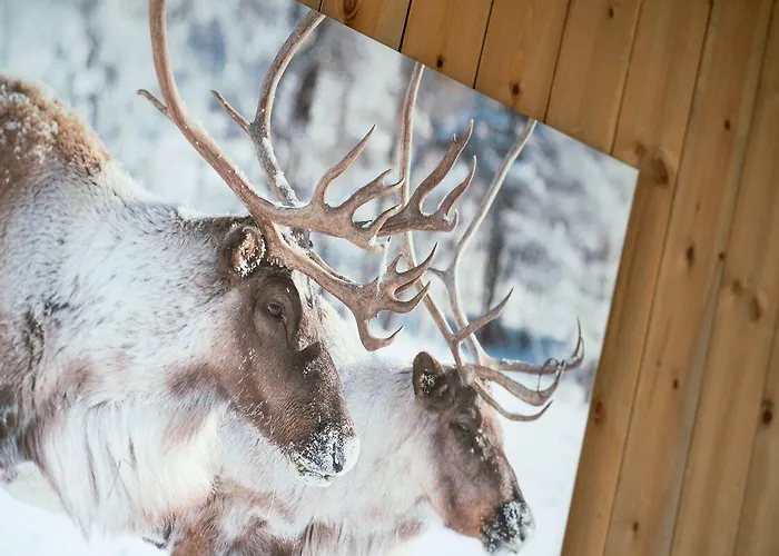 Spidsbergseter Rondane 3*