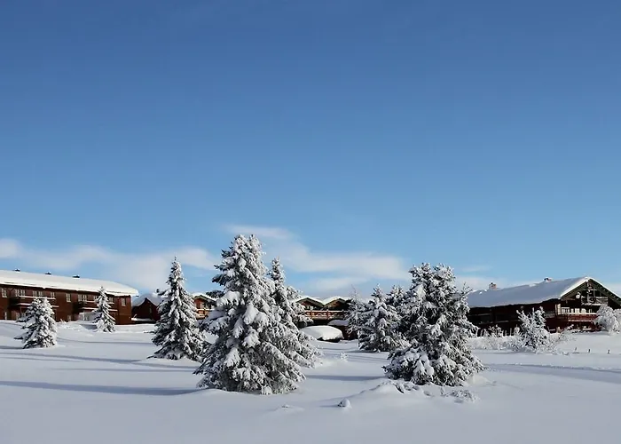 Spidsbergseter Rondane 호텔 3*
