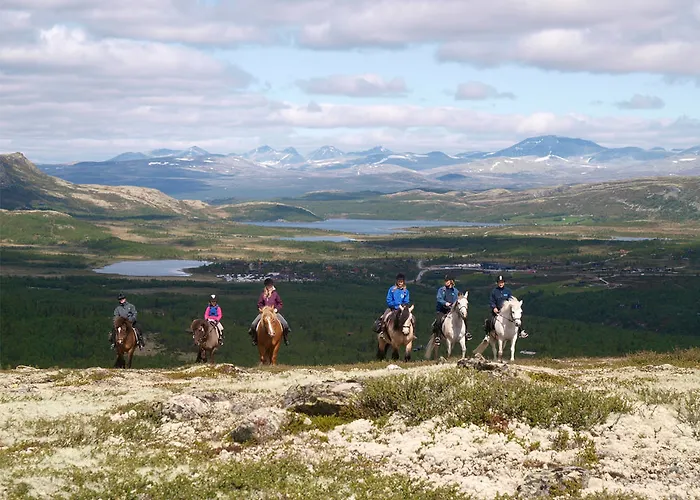 Spidsbergseter Rondane 3* Venabygd