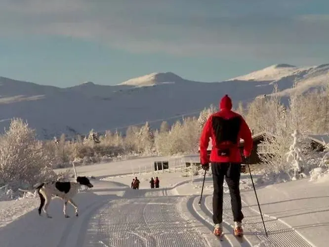 Spidsbergseter Rondane Отель Venabygd