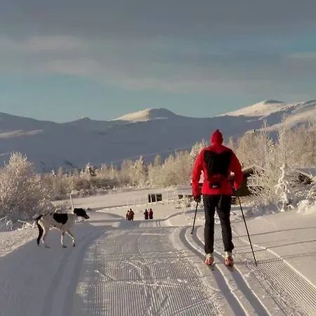 Spidsbergseter Rondane فندق Venabygd